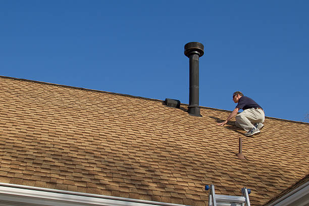 Best Roof Moss and Algae Removal  in San Rlos, CA